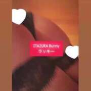 ヒメ日記 2025/05/13 15:20 投稿 ラッキー いたずらバニーちゃん