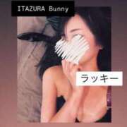 ヒメ日記 2025/05/14 00:30 投稿 ラッキー いたずらバニーちゃん