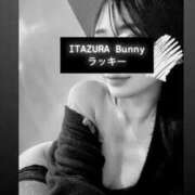 ヒメ日記 2025/05/14 13:40 投稿 ラッキー いたずらバニーちゃん