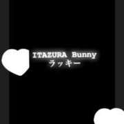 ヒメ日記 2025/05/18 11:50 投稿 ラッキー いたずらバニーちゃん