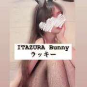 ヒメ日記 2025/05/18 22:50 投稿 ラッキー いたずらバニーちゃん