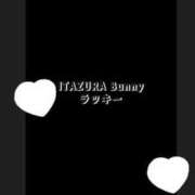 ヒメ日記 2025/05/20 11:50 投稿 ラッキー いたずらバニーちゃん