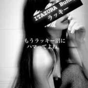 ヒメ日記 2025/05/20 18:00 投稿 ラッキー いたずらバニーちゃん