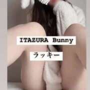 ヒメ日記 2025/05/24 22:40 投稿 ラッキー いたずらバニーちゃん