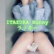 ヒメ日記 2025/05/25 08:30 投稿 ラッキー いたずらバニーちゃん