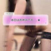 ヒメ日記 2025/05/27 01:20 投稿 ラッキー いたずらバニーちゃん