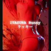 ヒメ日記 2025/05/27 11:04 投稿 ラッキー いたずらバニーちゃん