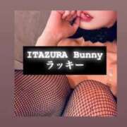 ヒメ日記 2025/06/01 22:40 投稿 ラッキー いたずらバニーちゃん