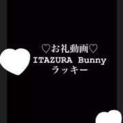 ヒメ日記 2025/06/04 16:20 投稿 ラッキー いたずらバニーちゃん