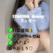 ヒメ日記 2025/06/07 18:00 投稿 ラッキー いたずらバニーちゃん