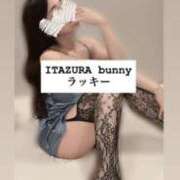 ヒメ日記 2025/06/14 16:10 投稿 ラッキー いたずらバニーちゃん