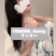 ヒメ日記 2025/06/15 16:40 投稿 ラッキー いたずらバニーちゃん