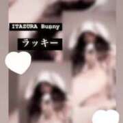 ヒメ日記 2025/06/29 12:22 投稿 ラッキー いたずらバニーちゃん