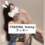 ヒメ日記 2025/07/04 07:20 投稿 ラッキー いたずらバニーちゃん