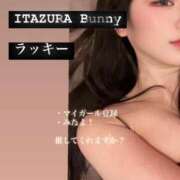 ヒメ日記 2025/07/08 08:10 投稿 ラッキー いたずらバニーちゃん