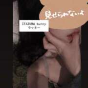 ヒメ日記 2025/07/13 19:50 投稿 ラッキー いたずらバニーちゃん