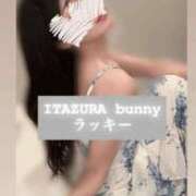 ヒメ日記 2025/07/14 13:00 投稿 ラッキー いたずらバニーちゃん