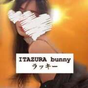 ヒメ日記 2025/07/21 19:10 投稿 ラッキー いたずらバニーちゃん