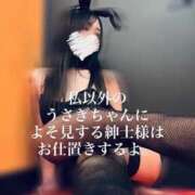 ヒメ日記 2025/08/03 19:30 投稿 ラッキー いたずらバニーちゃん