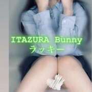 ヒメ日記 2025/08/10 17:30 投稿 ラッキー いたずらバニーちゃん