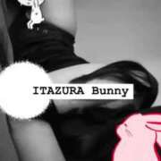 ヒメ日記 2025/08/17 09:00 投稿 ラッキー いたずらバニーちゃん