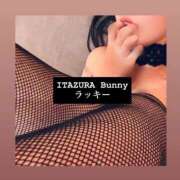 ヒメ日記 2025/08/27 17:20 投稿 ラッキー いたずらバニーちゃん