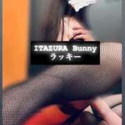 ヒメ日記 2025/08/29 18:20 投稿 ラッキー いたずらバニーちゃん