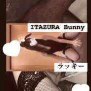 ヒメ日記 2025/09/04 12:30 投稿 ラッキー いたずらバニーちゃん