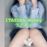 ヒメ日記 2025/09/07 09:50 投稿 ラッキー いたずらバニーちゃん