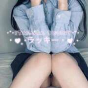 ヒメ日記 2025/09/09 17:50 投稿 ラッキー いたずらバニーちゃん