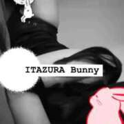 ヒメ日記 2025/09/11 09:01 投稿 ラッキー いたずらバニーちゃん