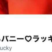 ヒメ日記 2025/10/14 07:40 投稿 ラッキー いたずらバニーちゃん