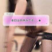 ヒメ日記 2025/11/26 15:50 投稿 ラッキー いたずらバニーちゃん