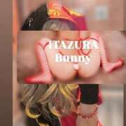 ヒメ日記 2025/12/11 20:33 投稿 ラッキー いたずらバニーちゃん