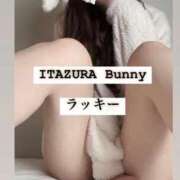 ヒメ日記 2025/12/15 23:10 投稿 ラッキー いたずらバニーちゃん