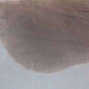 ヒメ日記 2026/03/13 10:20 投稿 ラッキー いたずらバニーちゃん