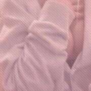 ヒメ日記 2026/03/14 00:20 投稿 ラッキー いたずらバニーちゃん