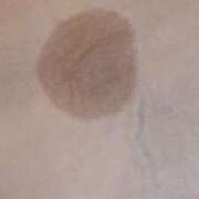 ヒメ日記 2026/03/14 20:20 投稿 ラッキー いたずらバニーちゃん