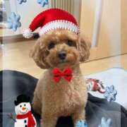 ヒメ日記 2024/12/25 11:58 投稿 はむ★ 新潟風俗 Cherish Amulet