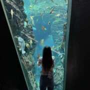 ヒメ日記 2025/06/24 17:12 投稿 はむ★ 新潟風俗 Cherish Amulet