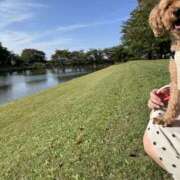 ヒメ日記 2025/07/09 08:21 投稿 はむ★ 新潟風俗 Cherish Amulet