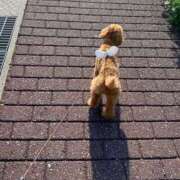 ヒメ日記 2025/08/18 10:11 投稿 はむ★ 新潟風俗 Cherish Amulet