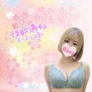 ヒメ日記 2025/04/16 11:09 投稿 りな なでしこ(十三)