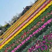 ヒメ日記 2025/05/07 10:25 投稿 りな なでしこ(十三)