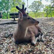 ヒメ日記 2025/07/09 23:41 投稿 りな なでしこ(十三)