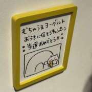 ヒメ日記 2025/11/13 14:10 投稿 まな ビデオdeはんど 町田校