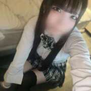 ヒメ日記 2025/04/15 12:27 投稿 きる 晴れんち