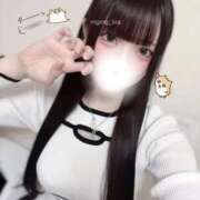 ヒメ日記 2026/02/20 13:20 投稿 きる 晴れんち