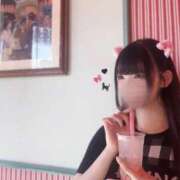 ヒメ日記 2026/02/22 01:30 投稿 きる 晴れんち