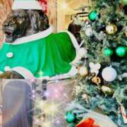 ヒメ日記 2024/12/24 06:44 投稿 坂本千佳 五十路マダム金沢店